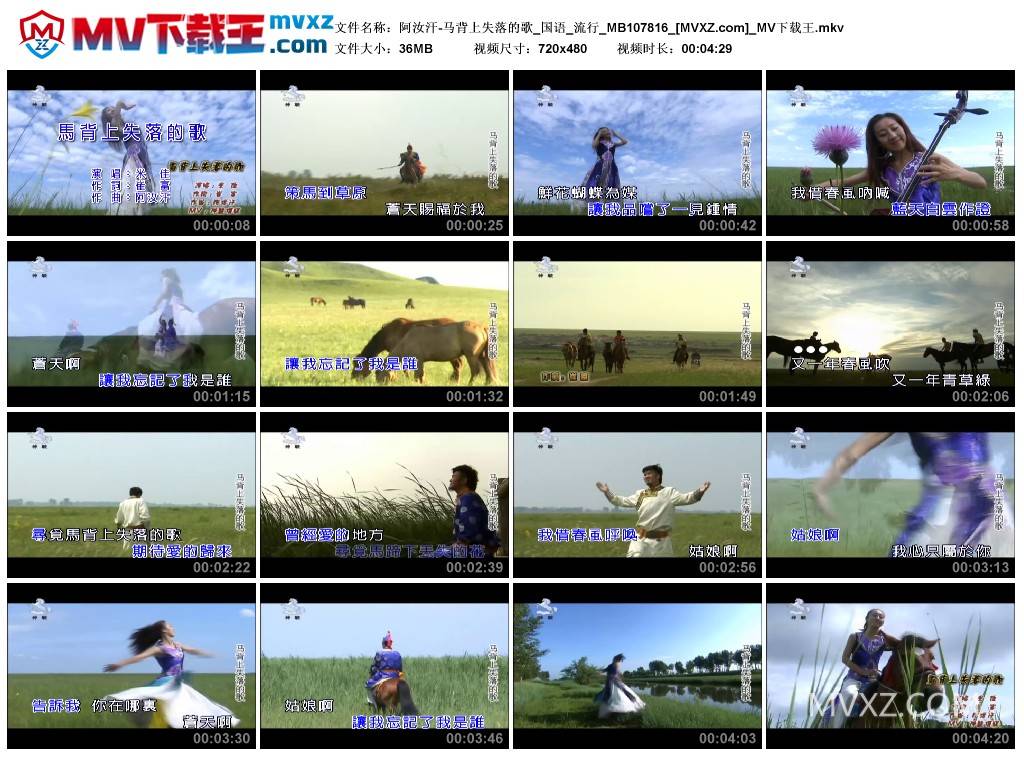 阿汝汗-马背上失落的歌_国语_流行_MB107816